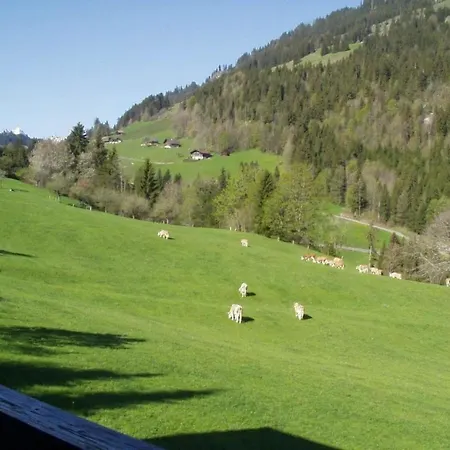 Altenried- By Interhome * Zweisimmen